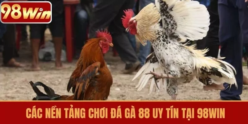 Các nền tảng chơi Đá Gà 88 uy tín tại 98WIN