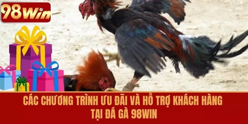 Các chương trình ưu đãi và hỗ trợ khách hàng tại Đá Gà 98WIN