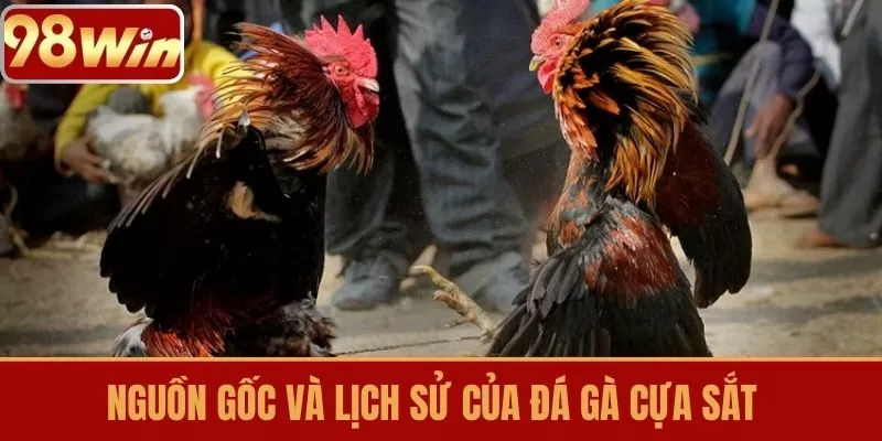 Nguồn gốc và lịch sử của đá gà cựa sắt