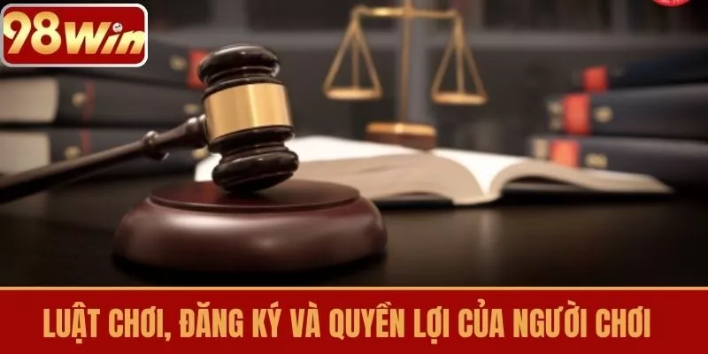 Luật chơi, đăng ký và quyền lợi của người chơi
