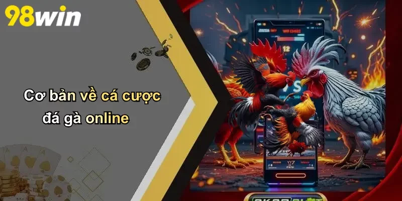 Cơ bản về cá cược đá gà online