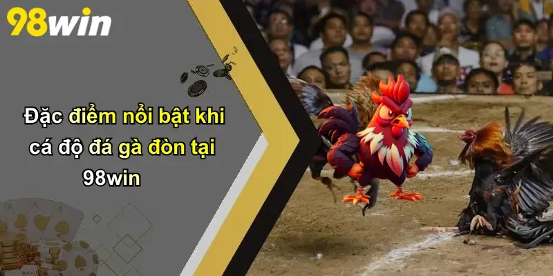 Đặc điểm nổi bật khi cá độ đá gà đòn tại 98win