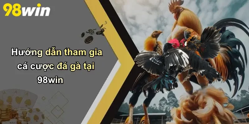 Hướng dẫn tham gia cá cược đá gà tại 98win