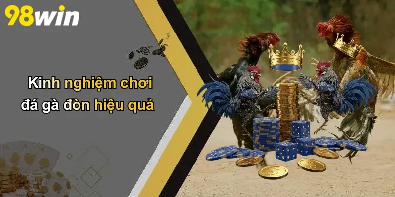 Kinh nghiệm chơi đá gà đòn hiệu quả