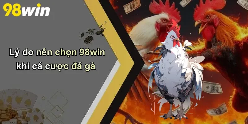 Lý do nên chọn 98win khi cá cược đá gà