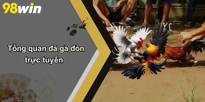 Tổng quan đá gà đòn trực tuyến